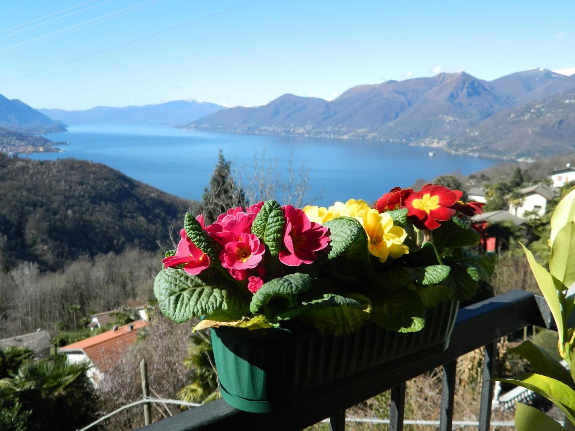 Lago Maggiore Holiday House, Lake View, Vignone Dumenza Luaran gambar